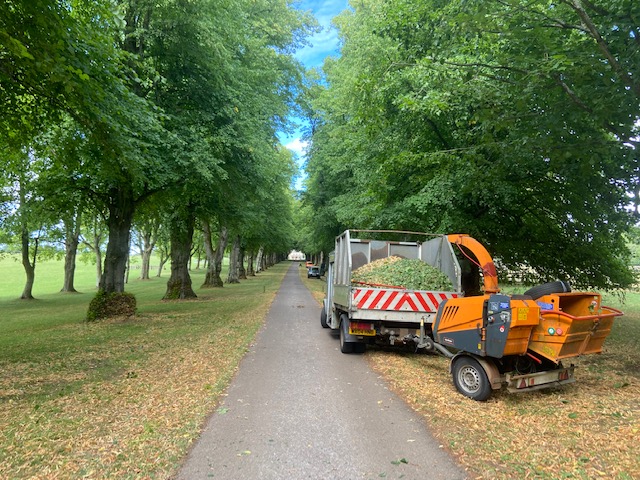 Lorry and woodchipper in avenue of trees