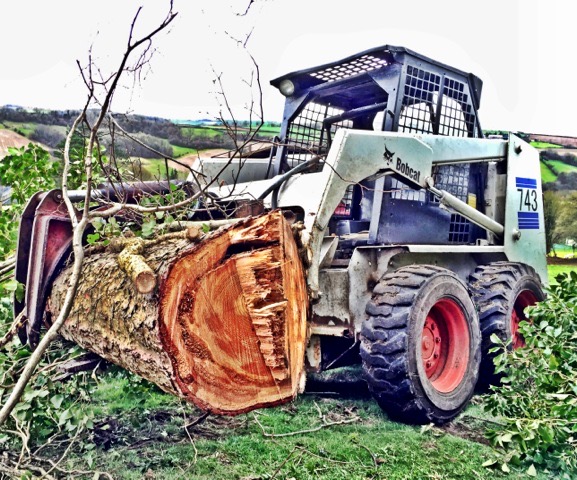 Forestry machine clearing a tree trunk